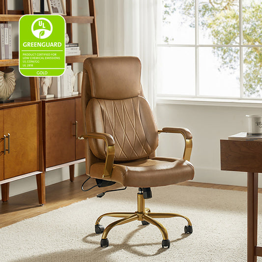 Ludwig Ergonomic Office Chair with Lumbar Support