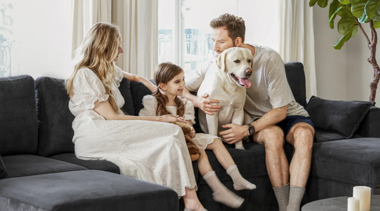 What Filling is Best for Sofa Cushions?
