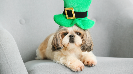 Shamrockin' Savings: Celebrate St. Patrick's Day with HULALA HOME's Festive Sale!