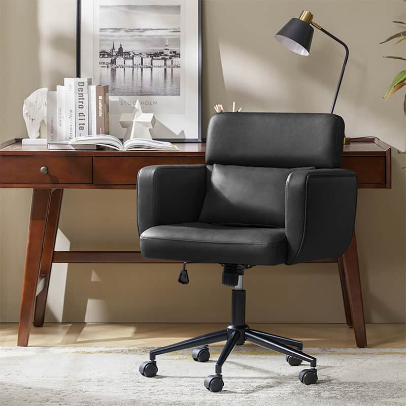 Sabina Ergonomic Chairs for Office with Adjustable Back