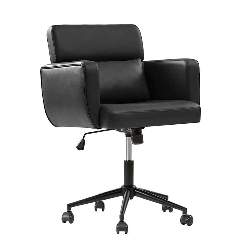 Sabina Ergonomic Chairs for Office with Adjustable Back