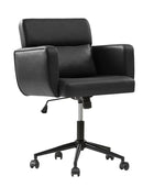 Sabina Ergonomic Chairs for Office with Adjustable Back