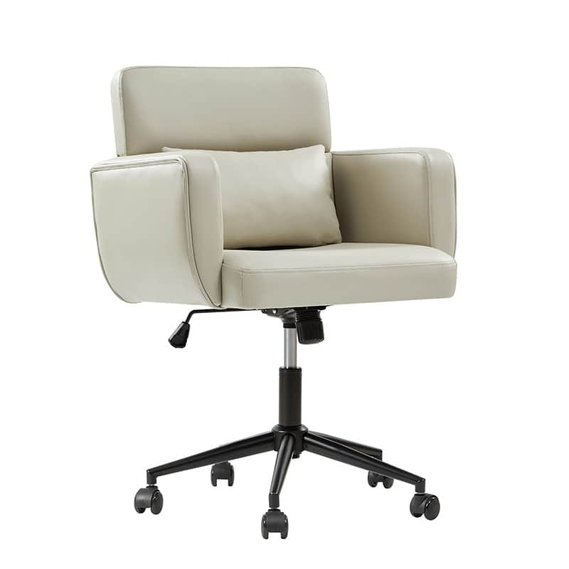 Sabina Ergonomic Chairs for Office with Adjustable Back