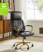 Ludwig Ergonomic Office Chair with Lumbar Support
