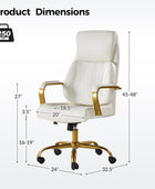 Ludwig Ergonomic Office Chair with Lumbar Support