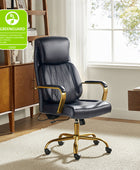 Ludwig Ergonomic Office Chair with Lumbar Support