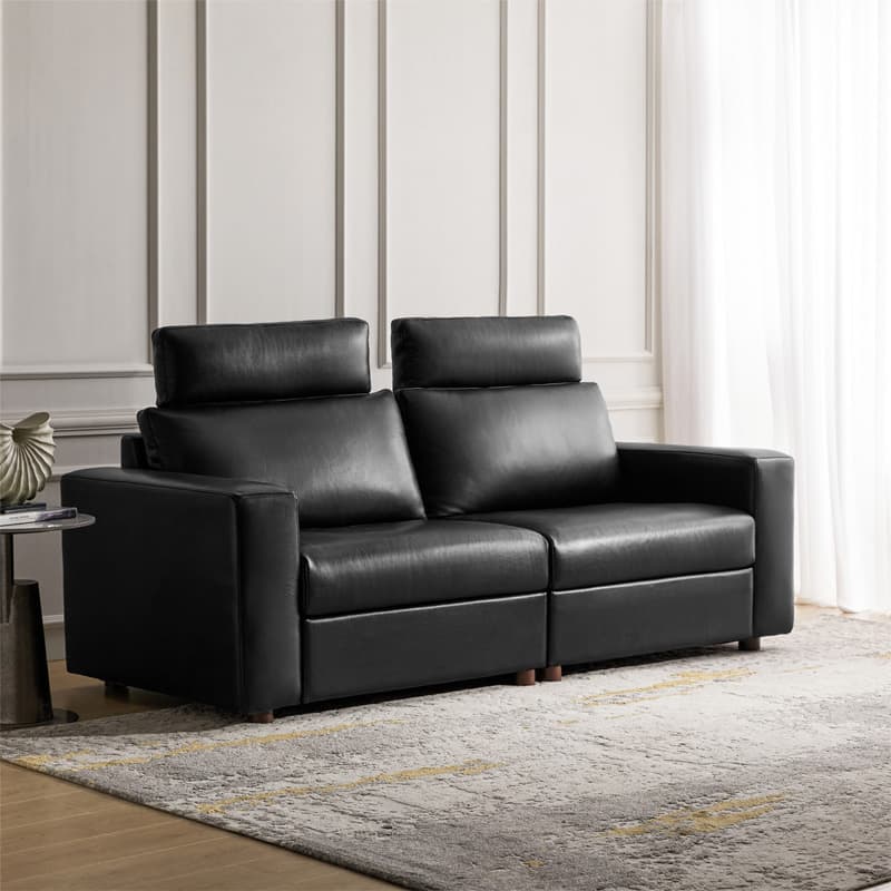 Placidus Modern Square Armrests Genuine Leather Sofa