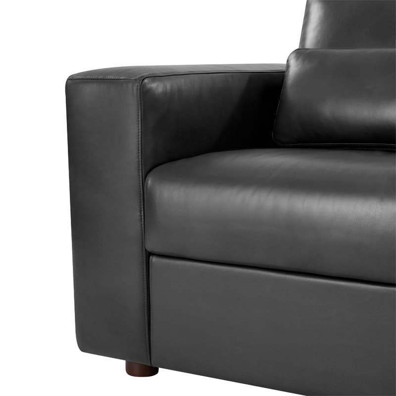 Placidus Modern Square Armrests Genuine Leather Sofa