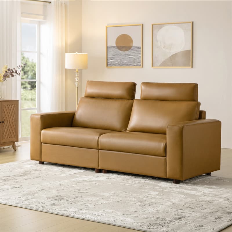 Placidus Modern Square Armrests Genuine Leather Sofa