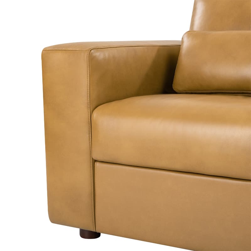 Placidus Modern Square Armrests Genuine Leather Sofa