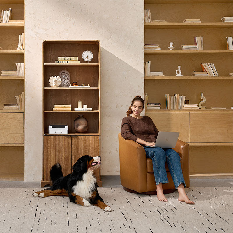Silvia Modern Wood Veneer Bookcase with LED Lighting & Gold Accents