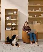 Silvia Modern Wood Veneer Bookcase with LED Lighting & Gold Accents