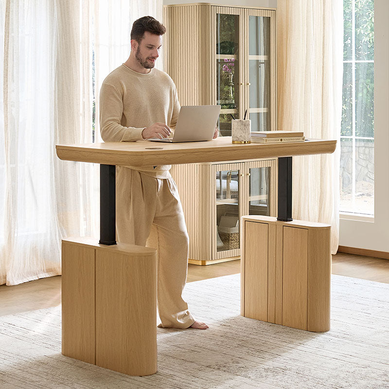 Emilio Modern Electric Adjustable Standing Desk
