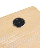 Emilio Modern Electric Adjustable Standing Desk