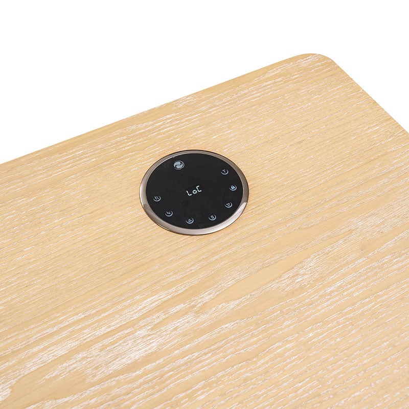 Emilio Modern Electric Adjustable Standing Desk