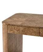 Poplar Burl Desk in Natural Modern Style