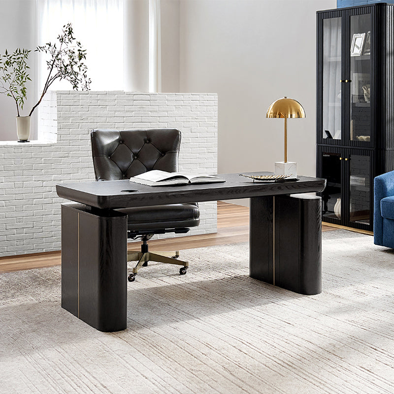 Emilio Modern Electric Adjustable Standing Desk