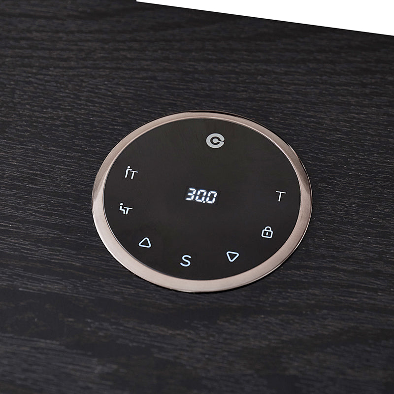 Emilio Modern Electric Adjustable Standing Desk