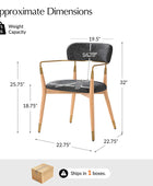 Sabina Modern Dining Chair with Wooden Legs & Metal Armrests ,Set of 2