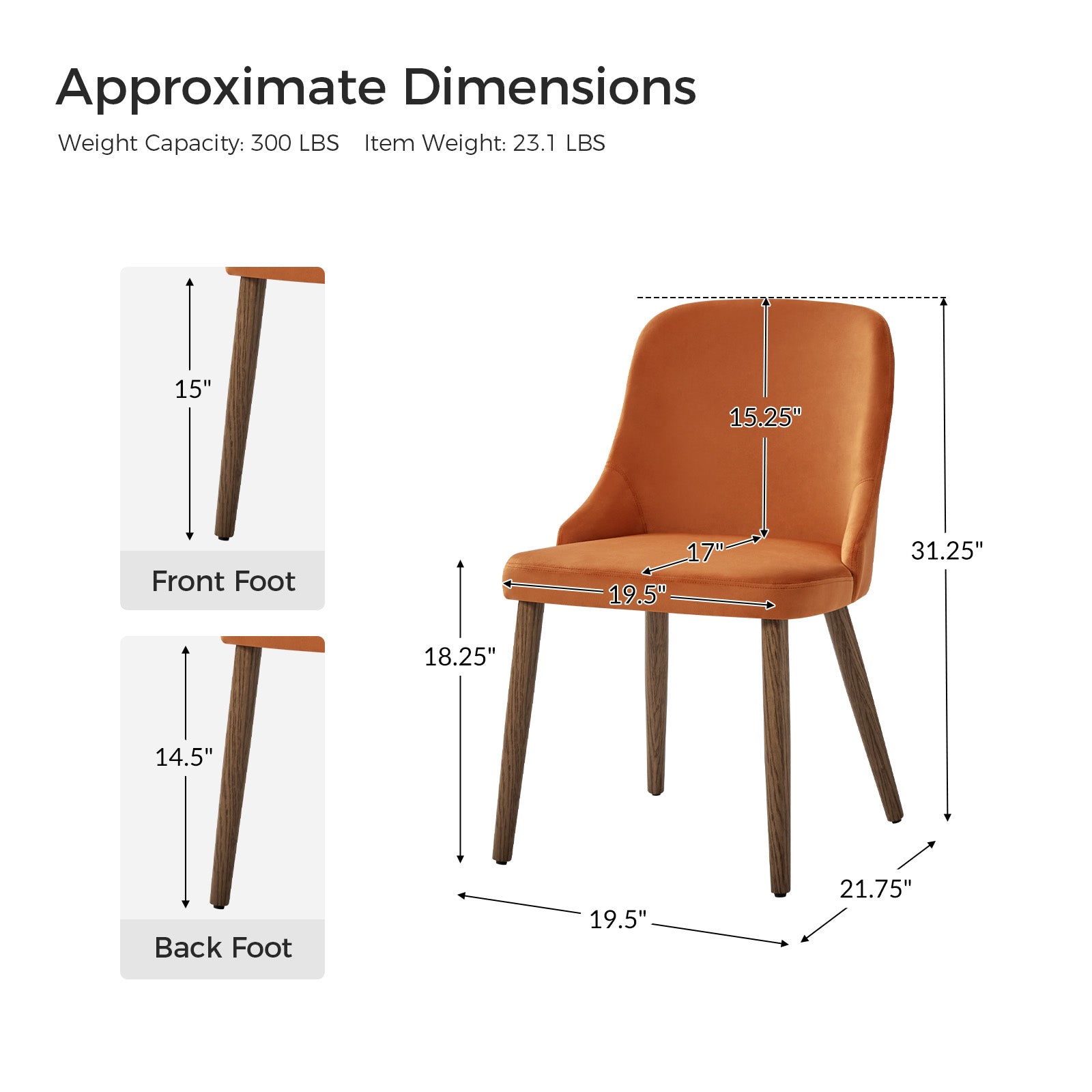 Andrea Versatile Ergonomic Dining Chair for Modern Spaces (Set of 2)